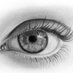 RealisticPencilDrawing.com 🦋💙✍️ (@drawrealistic) Twitter profile photo