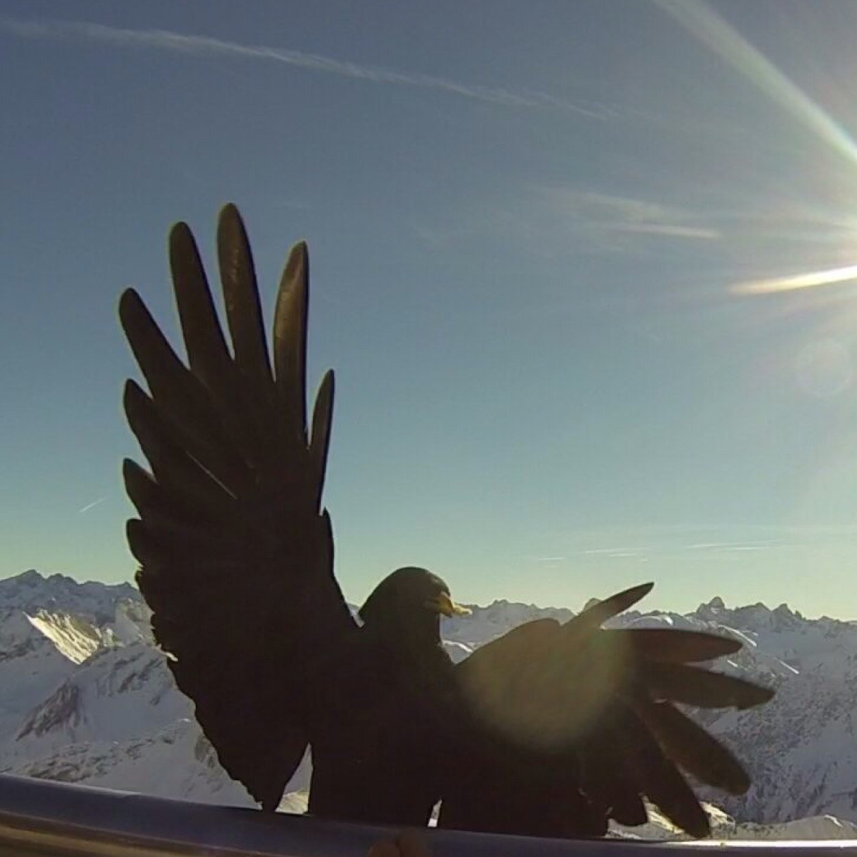Skireisen nach Frankreich, Wochenend & Kurzreisen nach D, CH und Ö.
http://t.co/jE6LVEtQdP