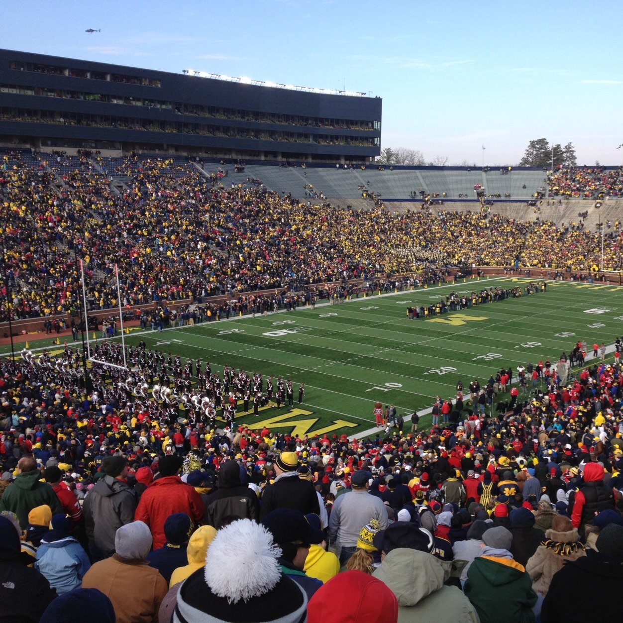 Cleveland_Corey's profile picture. Browns, Cavs, Guardians, Buckeyes