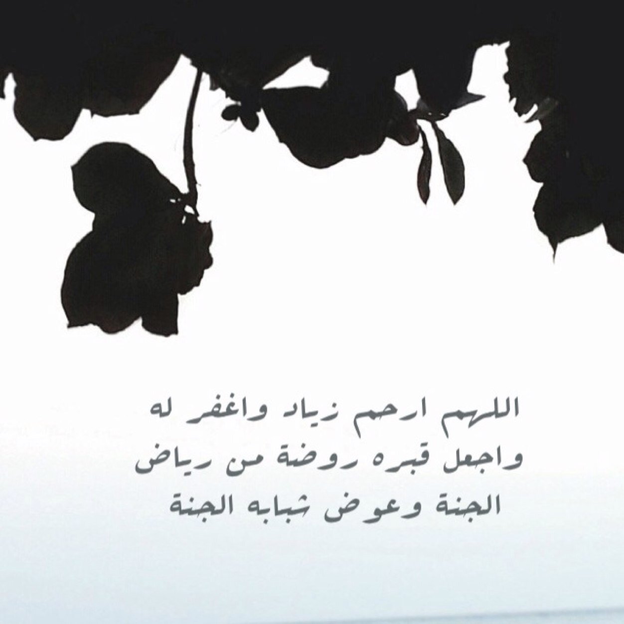 آللهم آرحم شبآبه و آره مقعده ف آلجنه آللهم آدخله آلجنه من غير حسآب آللهم آرزقه آلجنه يآ آكرم آلآكرمين #زياد_الكربي