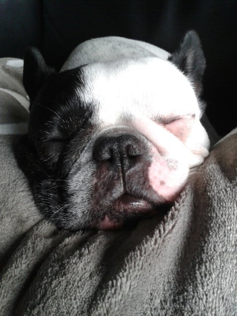 DeclercqFranky's profile picture. mneuuu 🎗️