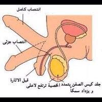 سالب في فندق بجده (@salb23558894) 's Twitter Profile