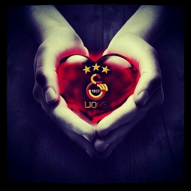 sarigul180's profile picture. 