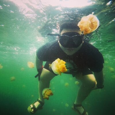 bbrandsss's profile picture. tryin to be nice poppa bear!