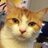 The_Colonel_702's profile image