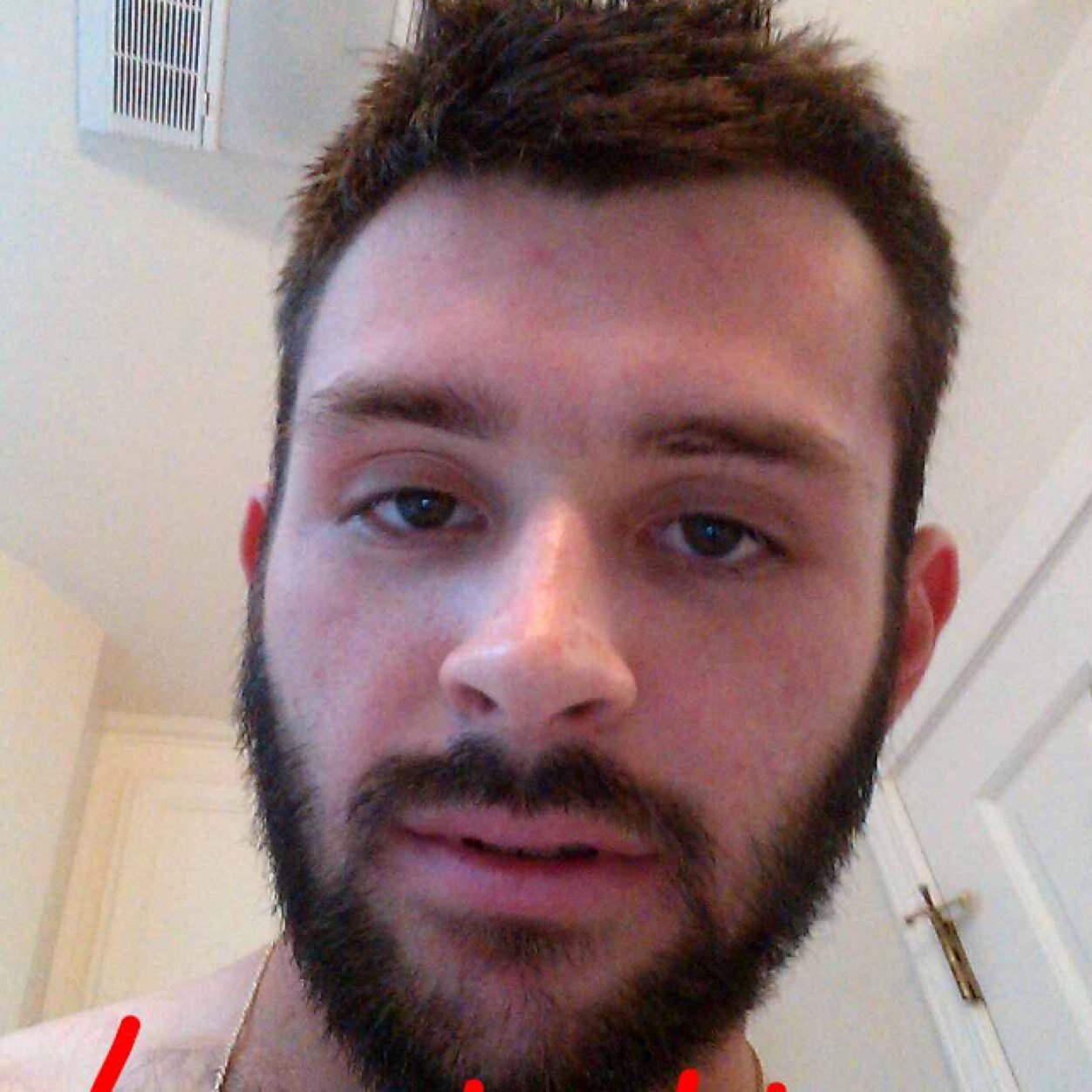 bowespics Profile Picture