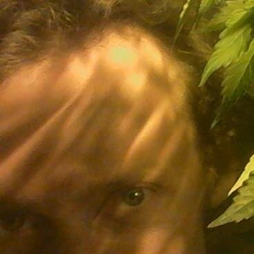 TheWBizzle Profile Picture