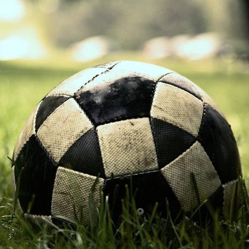 MilPronosticos's profile picture. 