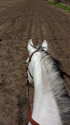 emmajcutler's profile picture. Anything agriculture and fitness!