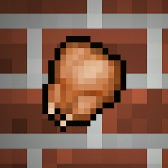 Minecraft PE Care And Support  & ChickenFeed Server