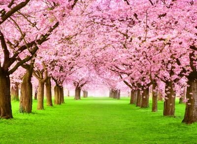 MaureenSjoers4's profile picture. 