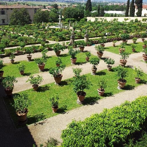 jackywville's profile picture. 