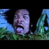 El_Fumaweedo's profile picture. Los cogollos me hablan y me dicen fumame.