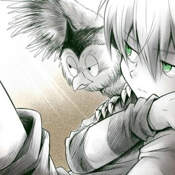 Jakku: [10/14 Yrs old] #Apples #Owl Corrupted master of chaos