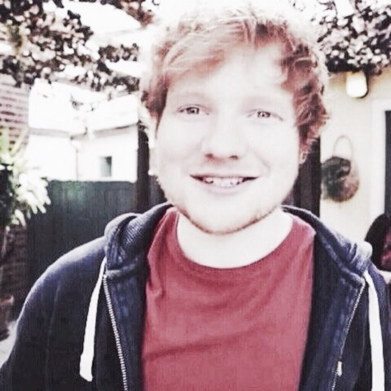 Ed Sheeran GIFs