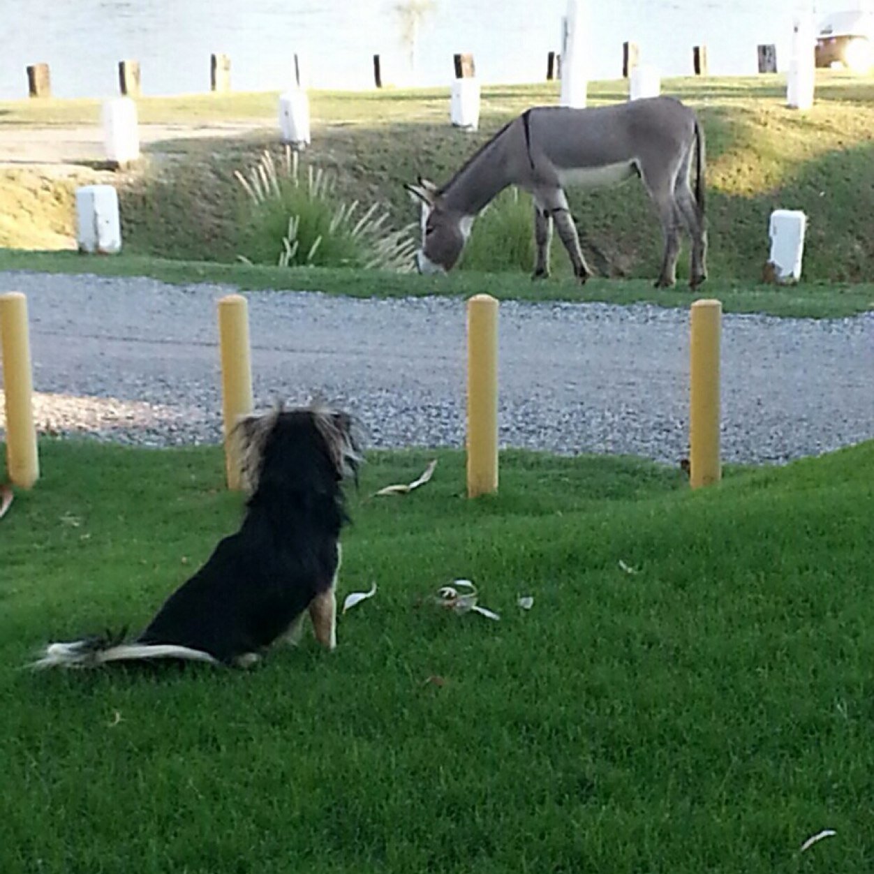 KarrieScully's profile picture. 