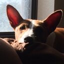 Stephen Katz - @sgk1067 - Twitter