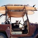 seth pedersen - @pedersen_seth - Twitter