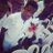 babs_damii's profile image