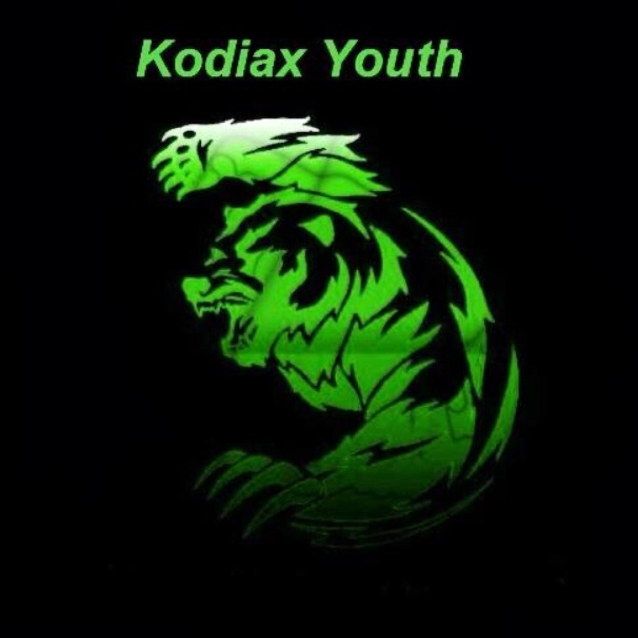PS4 competitve Youth team||assosiated with @Kodiax_Gaming