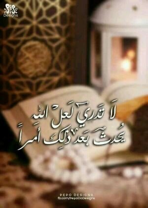 12344321780's profile picture. بيني وبين بعض البشر ستائر تحجب اختلاف الفكر والمبدأ ..أنا لا اخاف فتح الستائر ولكن لا احب التمثيل على مسرح الحياة