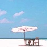 iandamoo's profile picture. 