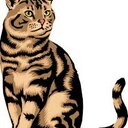 Lorraine Albert - @RaineAlbert17 - Twitter