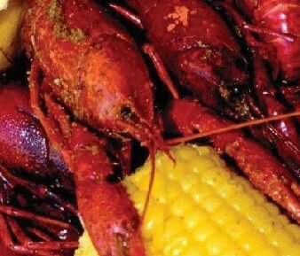 Welcome to Vermilion Parish! The MOST CAJUN place on Earth!