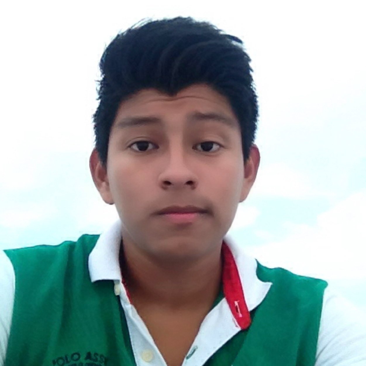 LuiizDonaldoo's profile picture. Hola soy una persona a base de carbono en su proceso de oxidación.