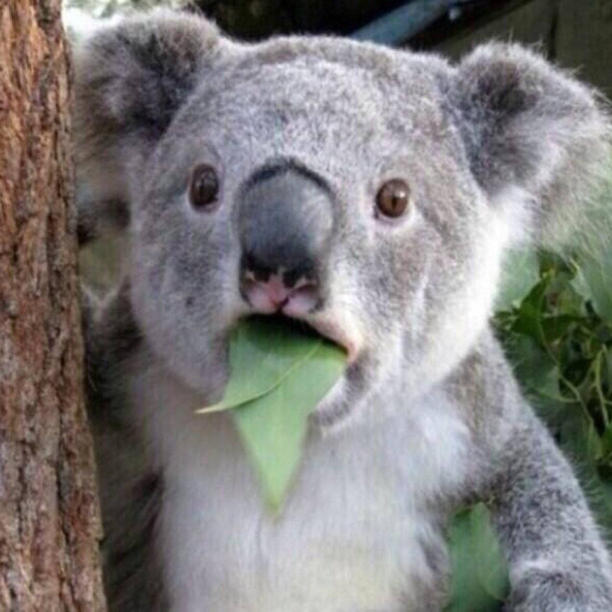 DaniR_Puma's profile picture. hello there                                          Instagram & Snapchat: @danir_puma