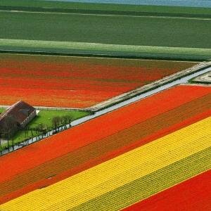 YanekDoode's profile picture. 