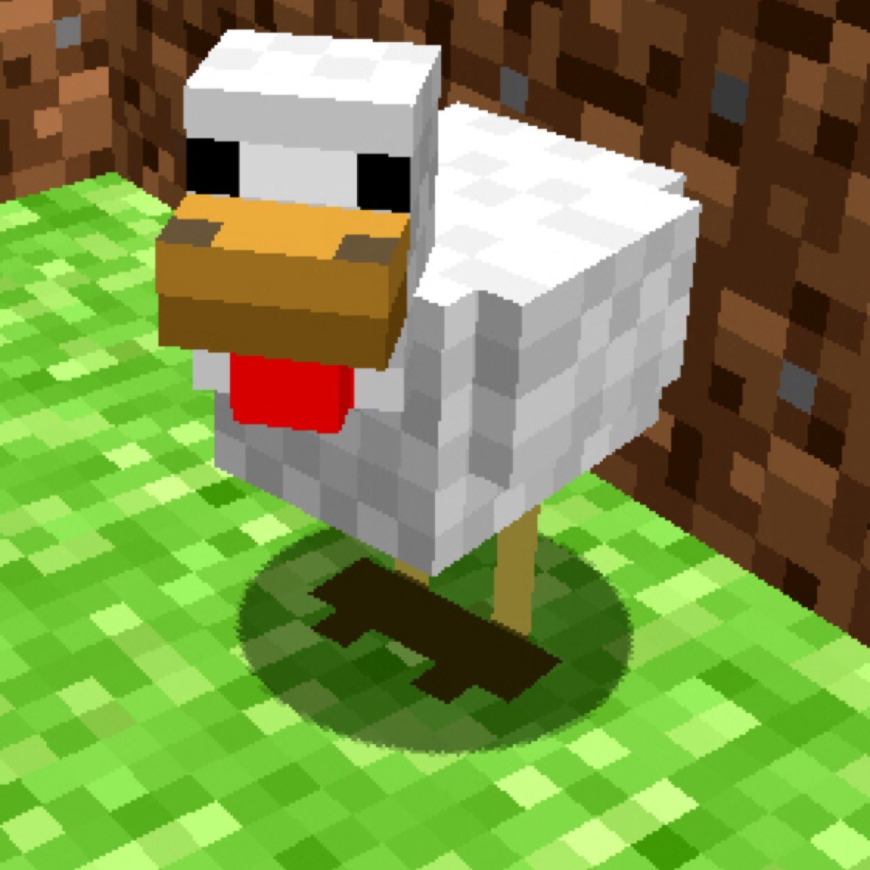 chicken_duck_mc's profile picture. Quack, Qock...