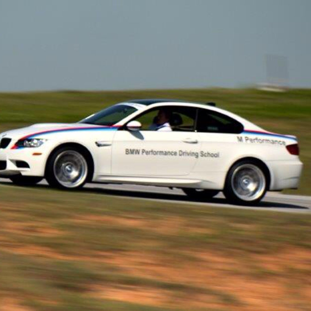 Loved cars since I could walk. Working for the best car company IN THE UNIVERSE.
