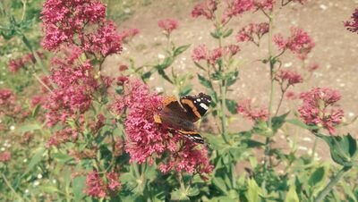 diddy63's profile picture. 