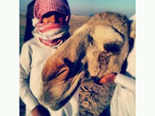 نجد العذييه من العارض للحره