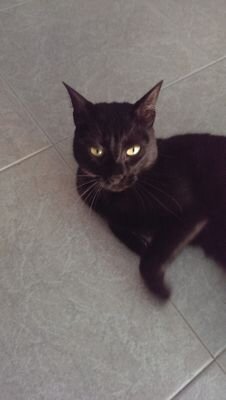 helens_52's profile picture. 