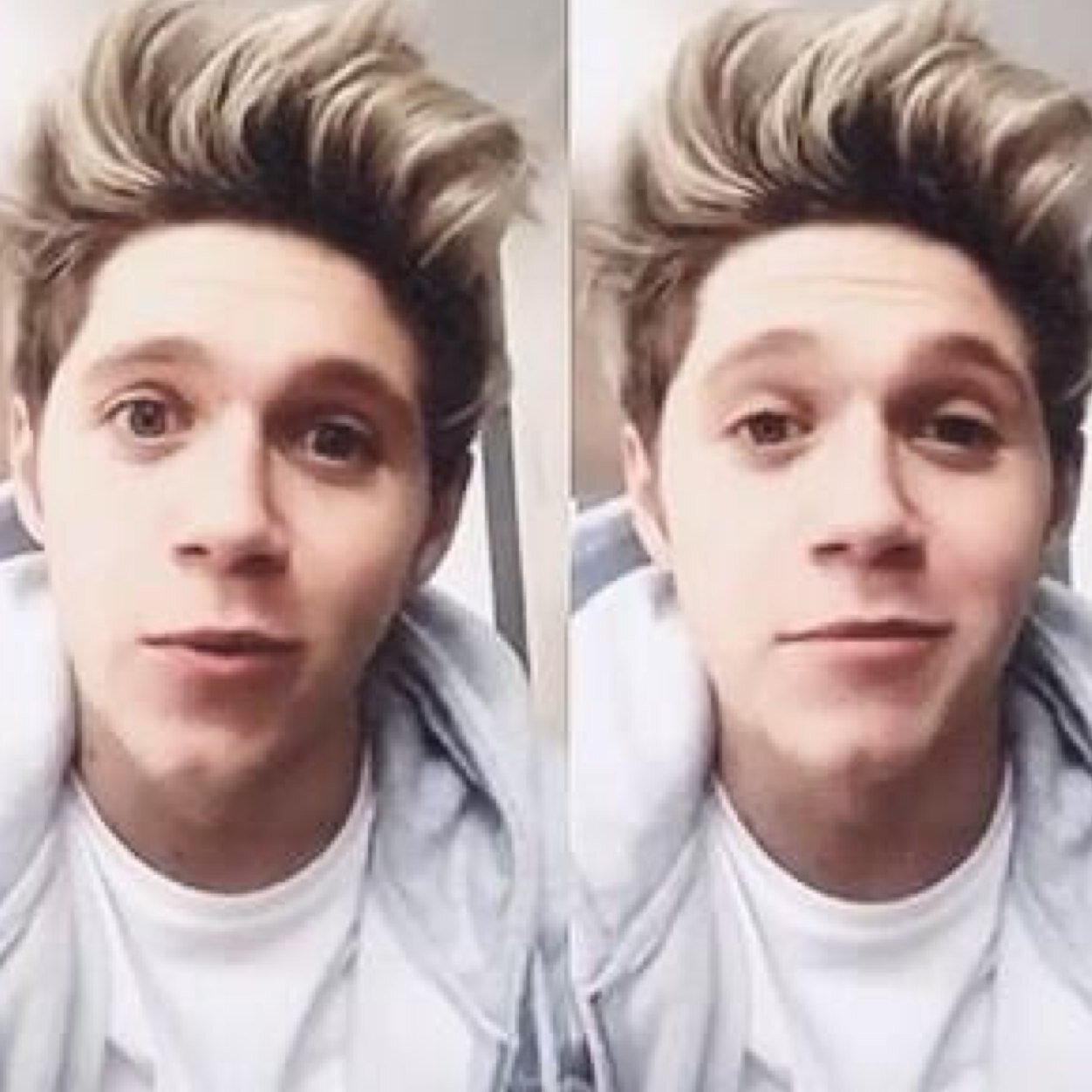 Free follow thanks to @narrystwilight and @mrpayyne