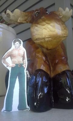 Maria_M_Collins's profile picture. 