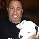 Orangebeast1's profile picture. # orangebeast1