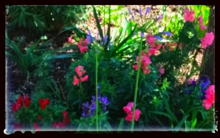 mamademojo's profile picture. Mom to a wonderful kiddo. Wife to a beautiful Spaniard. Dirt digging plant lover.  Maker of flowerful things. Native Design Consultant