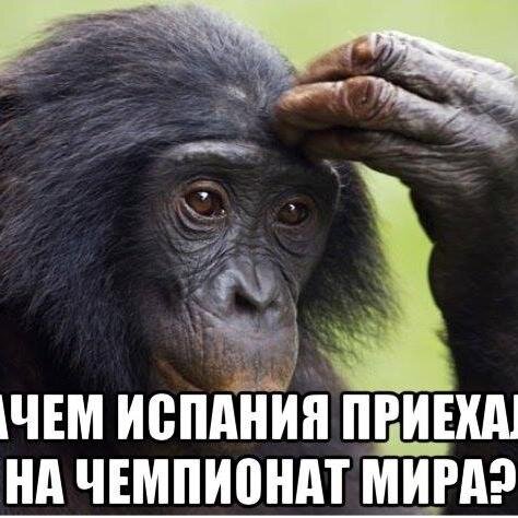 О себе.