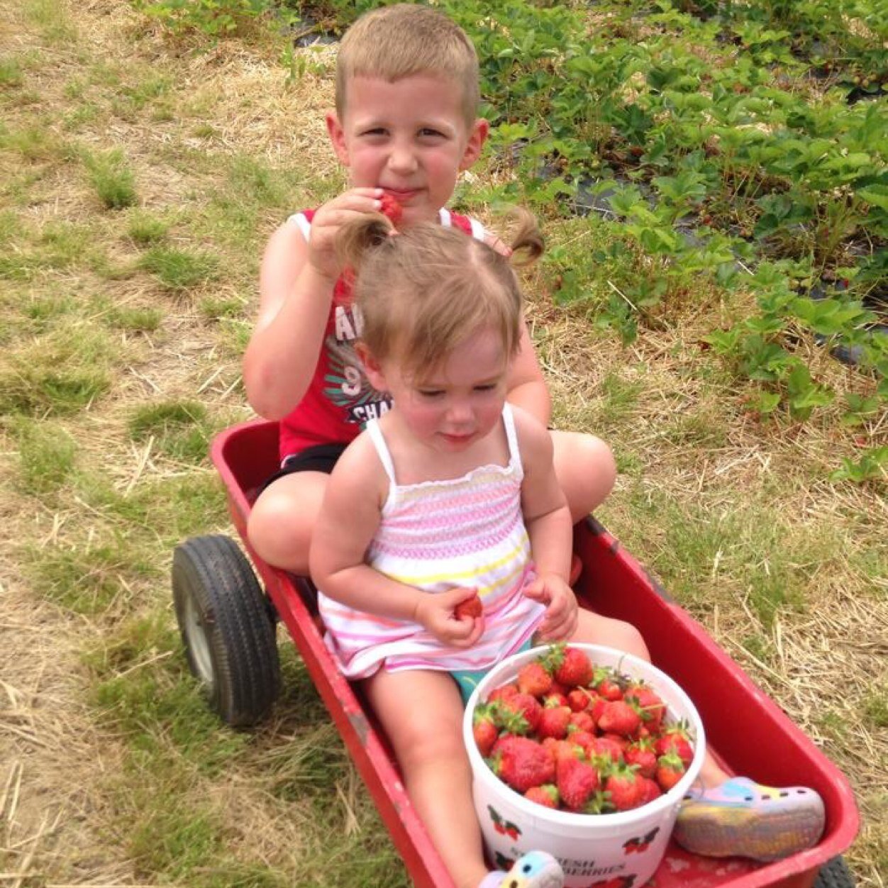 PenniWood's profile picture. 