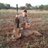 jeandreniew's profile image
