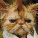 AnSOViolette's profile picture. 