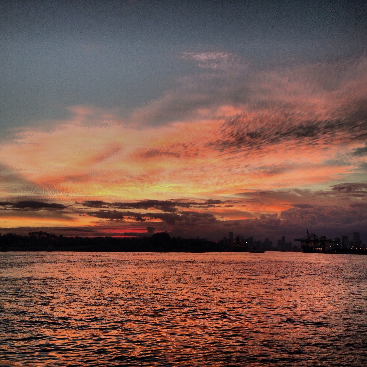 danlogo's profile picture. 