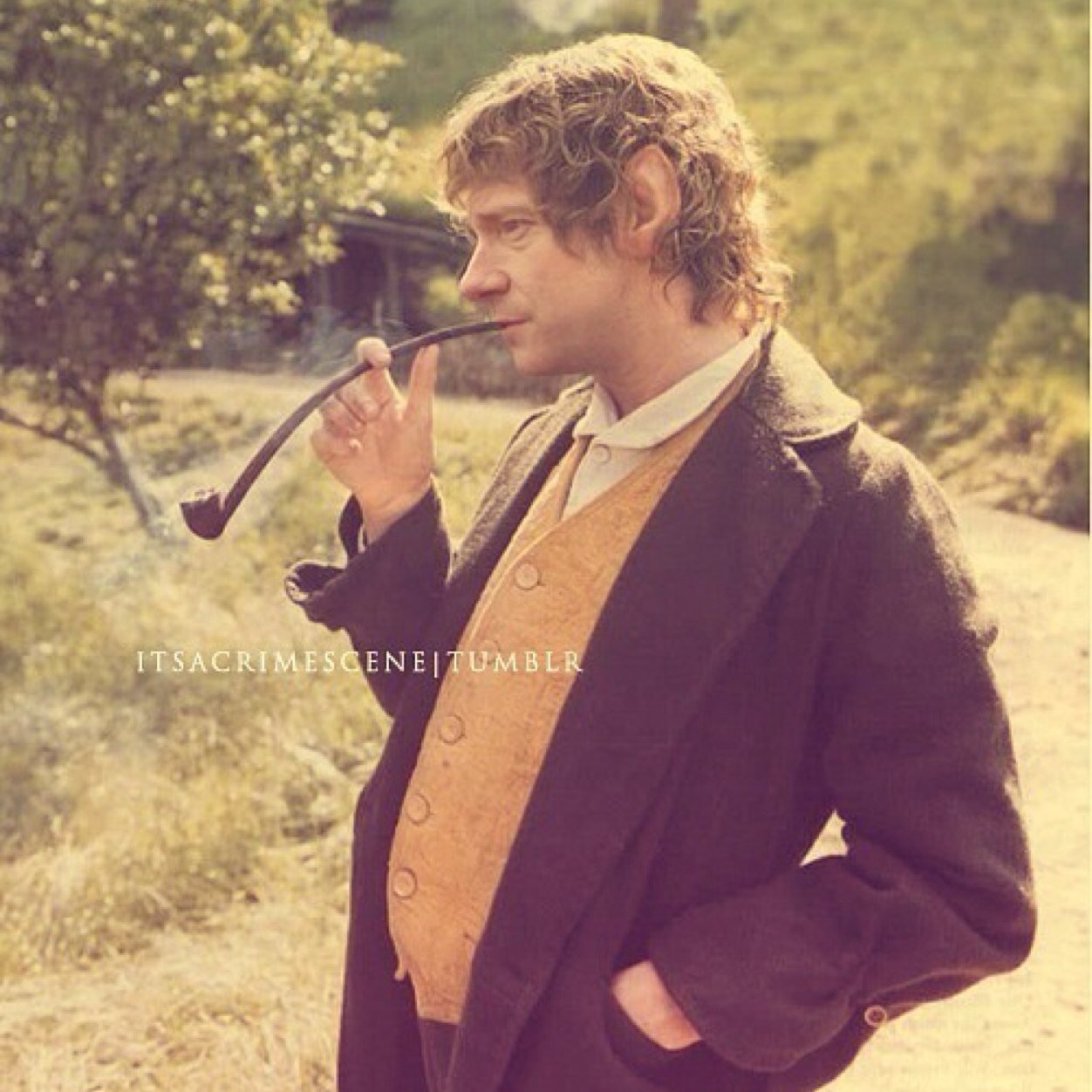 — ❝I'm Bilbo Baggins from Bag End and I'm going on an adventure.❞ —