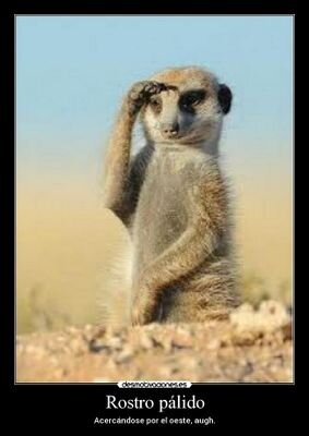 akex905's profile picture. 