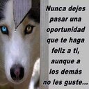 Manny Riera (@028Malote) Twitter