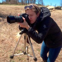 Paula Combs (@paulatography) 's Twitter Profile