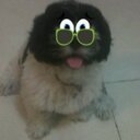 Bruno Gutierrez - @markupstore - Twitter